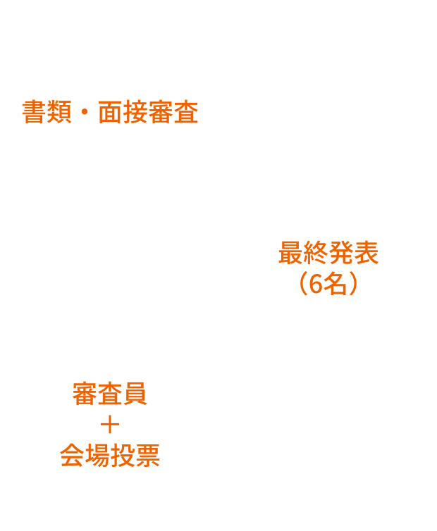 審査の図表